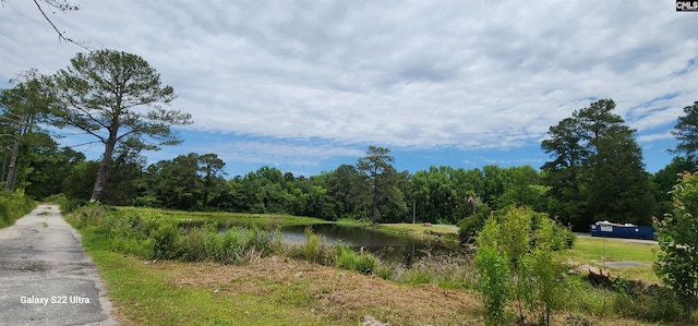 101 Moolah Dr, Columbia, SC 29223 - view of road with a water view and a wooded view