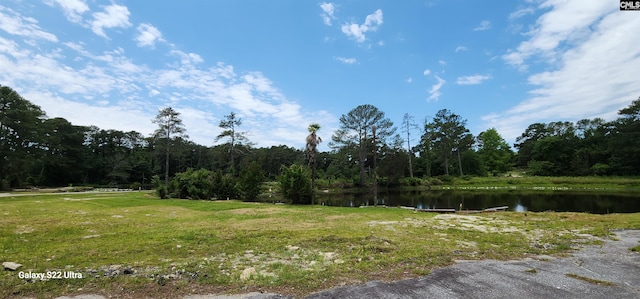 101 Moolah Dr, Columbia, SC 29223 - view of yard with a water view and a view of trees