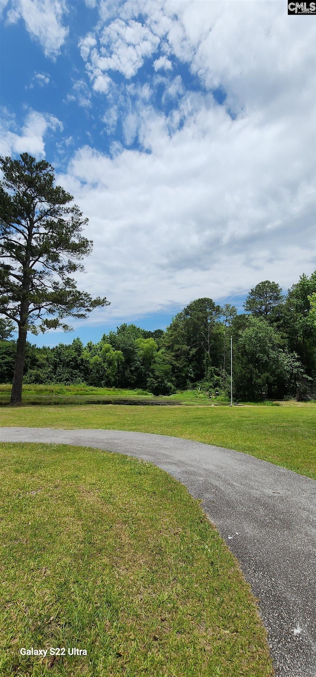 101 Moolah Dr, Columbia, SC 29223 - view of street