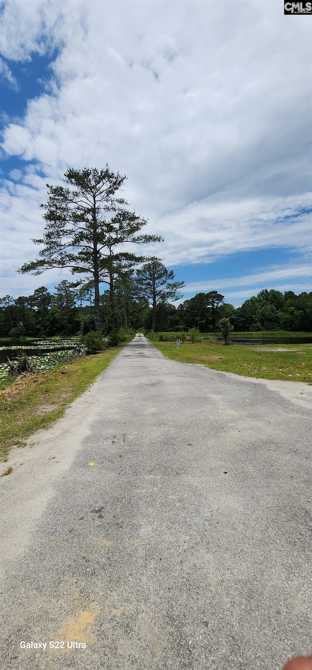 101 Moolah Dr, Columbia, SC 29223 - view of asphalt road