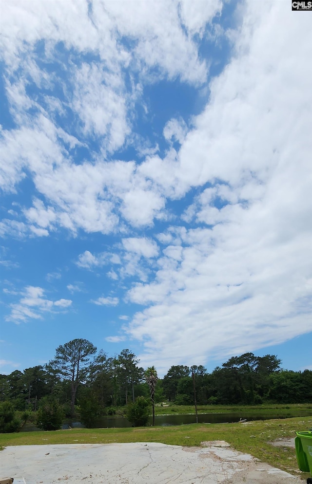 101 Moolah Dr, Columbia, SC 29223 - view of yard