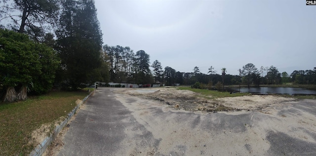 101 Moolah Dr, Columbia, SC 29223 - view of road featuring a water view and curbs