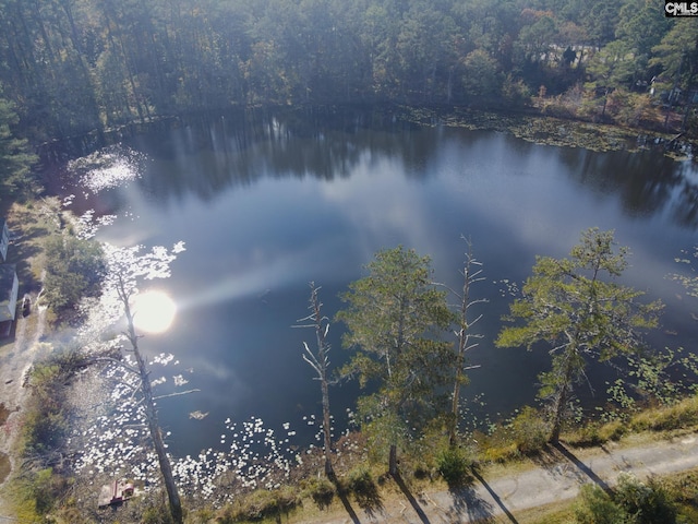 101 Moolah Dr, Columbia, SC 29223 - water view featuring a forest