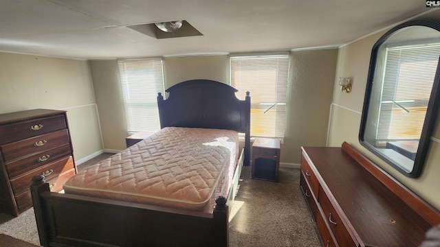 101 Moolah Dr, Columbia, SC 29223 - bedroom featuring carpet, baseboards, and crown molding