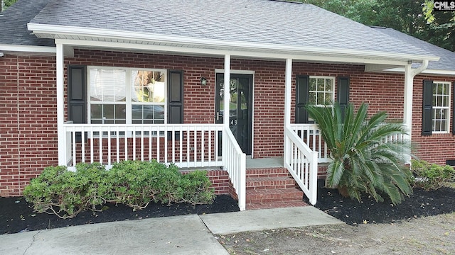 143 Renaissance Way, Columbia, SC 29204 - doorway to property with roof with shingles, brick siding, and a porch