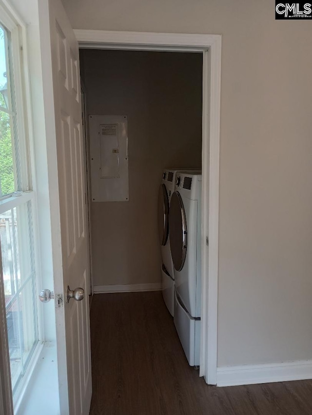 1699 Green Hill Rd, Lugoff, SC 29078 - laundry room featuring electric panel, separate washer and dryer, baseboards, and dark wood finished floors