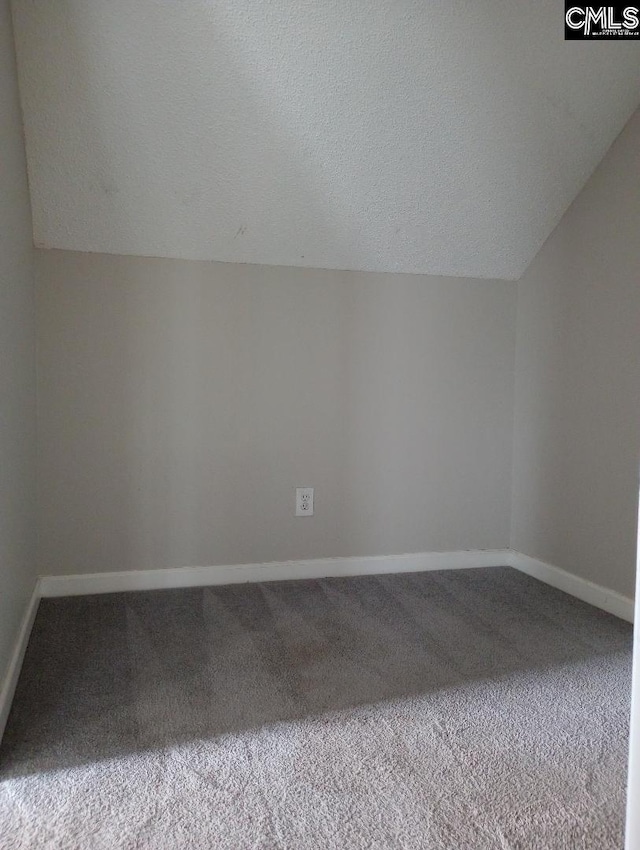 1699 Green Hill Rd, Lugoff, SC 29078 - additional living space with carpet, lofted ceiling, baseboards, and a textured ceiling