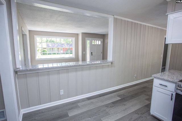 4513 Bonnie Forest Blvd, Columbia, SC 29210 - kitchen featuring dark wood-type flooring, white cabinetry, plenty of natural light, light stone counters, and a wainscoted wall