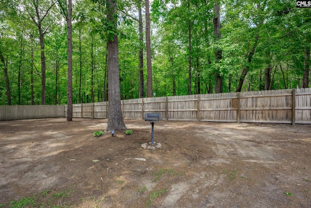 67 Ole Still Ln, Elgin, SC 29045 - view of yard