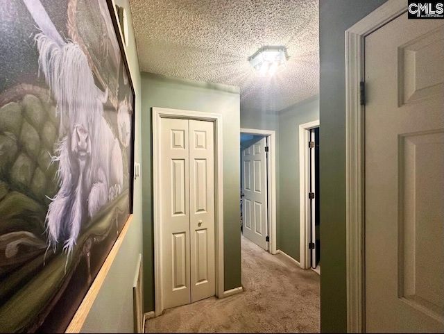 109 Cranewater Dr, Columbia, SC 29212 - hall featuring carpet flooring, a textured ceiling, and baseboards