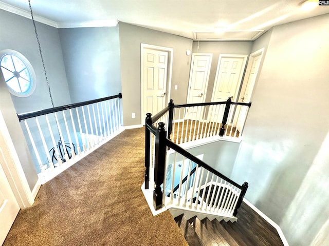 2 Alverston Ct, Irmo, SC 29063 - staircase with attic access, baseboards, carpet, and ornamental molding