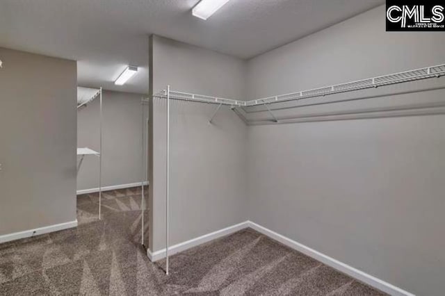 2 Alverston Ct, Irmo, SC 29063 - walk in closet with carpet flooring