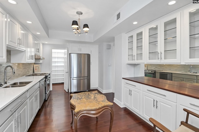 1829 Senate St Unit 11-A, Columbia, SC 29201 - kitchen featuring appliances with stainless steel finishes, a sink, under cabinet range hood, decorative backsplash, and glass insert cabinets