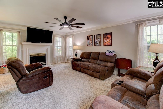 115 Chestnut Woods Ln, Columbia, SC 29212 - carpeted living room featuring crown molding, a ceiling fan, a fireplace with flush hearth, and baseboards