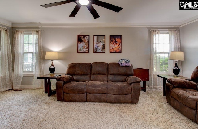 115 Chestnut Woods Ln, Columbia, SC 29212 - carpeted living area featuring a ceiling fan, crown molding, and baseboards