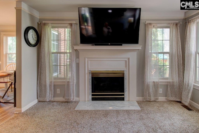 115 Chestnut Woods Ln, Columbia, SC 29212 - unfurnished living room with carpet, baseboards, and plenty of natural light