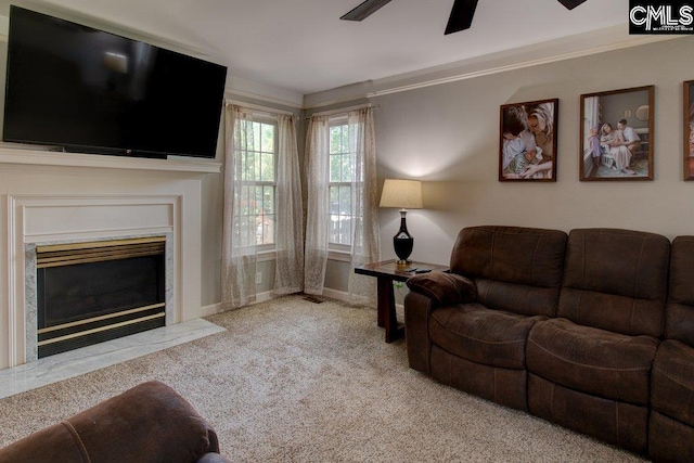 115 Chestnut Woods Ln, Columbia, SC 29212 - living area featuring carpet, a fireplace with flush hearth, a ceiling fan, and baseboards