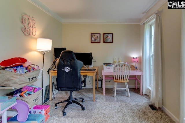 115 Chestnut Woods Ln, Columbia, SC 29212 - office with carpet flooring, crown molding, and baseboards