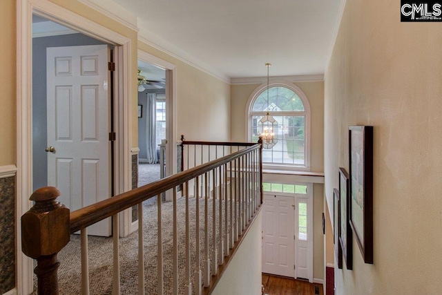 115 Chestnut Woods Ln, Columbia, SC 29212 - entryway with ornamental molding, a chandelier, and wood finished floors