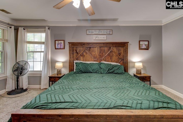 115 Chestnut Woods Ln, Columbia, SC 29212 - bedroom featuring carpet, baseboards, and ceiling fan