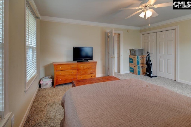 115 Chestnut Woods Ln, Columbia, SC 29212 - bedroom with multiple windows, carpet flooring, baseboards, ornamental molding, and a closet