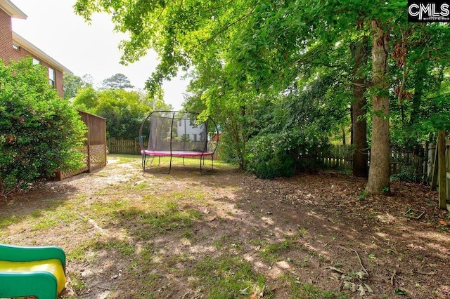 115 Chestnut Woods Ln, Columbia, SC 29212 - fenced backyard with a trampoline