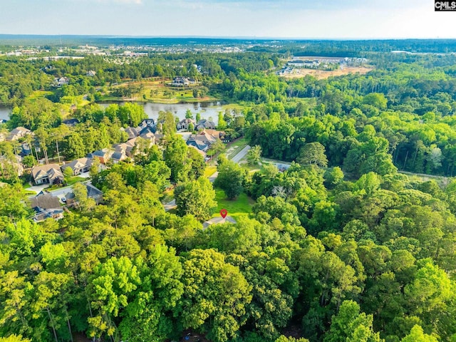 216 Jacobs Mill Pond Rd, Elgin, SC 29045 - view of property location featuring a nearby body of water and a heavily wooded area