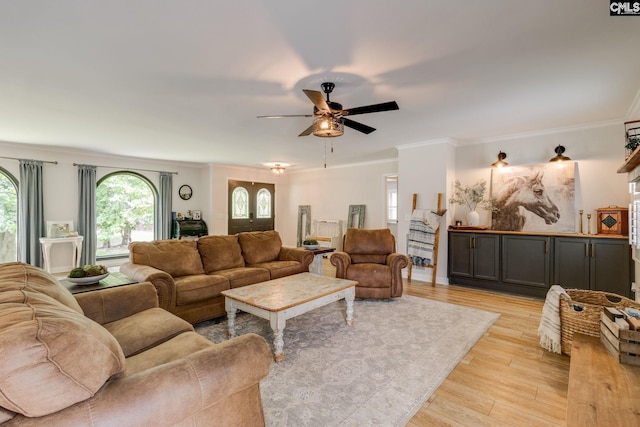 216 Jacobs Mill Pond Rd, Elgin, SC 29045 - living room with crown molding, ceiling fan, and light wood finished floors