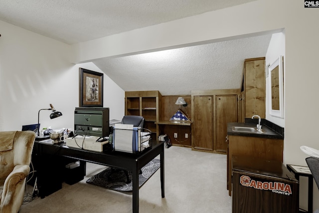 111 Rusty Barn Rd, Columbia, SC 29212 - home office featuring lofted ceiling, light colored carpet, a sink, and a textured ceiling