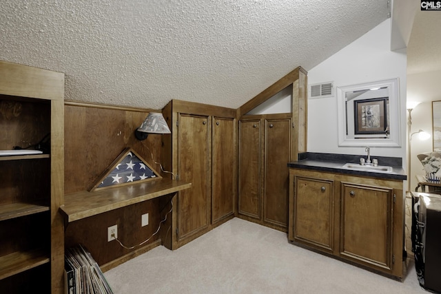 111 Rusty Barn Rd, Columbia, SC 29212 - bathroom featuring a textured ceiling, lofted ceiling, and vanity