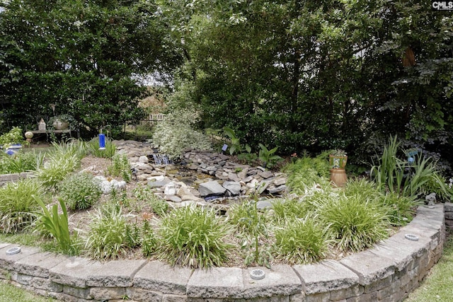 111 Rusty Barn Rd, Columbia, SC 29212 - view of yard