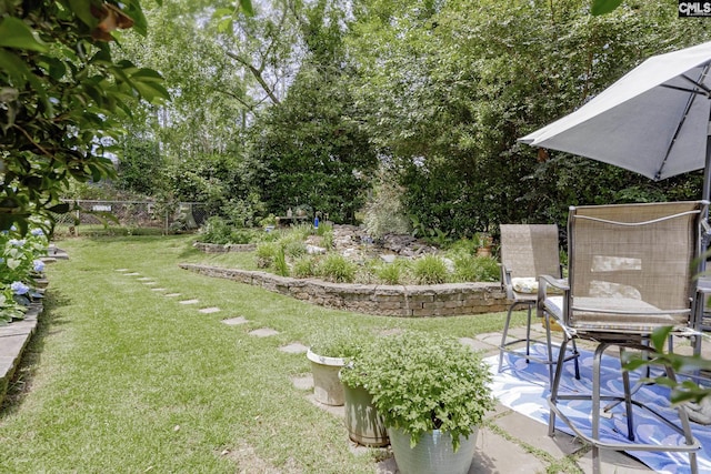111 Rusty Barn Rd, Columbia, SC 29212 - view of yard with a patio area