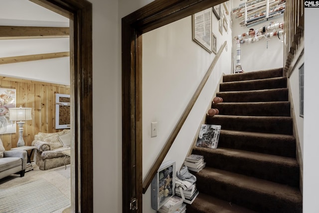 111 Rusty Barn Rd, Columbia, SC 29212 - stairs featuring carpet floors and wood walls