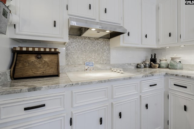 111 Rusty Barn Rd, Columbia, SC 29212 - kitchen featuring under cabinet range hood, white cabinetry, and backsplash
