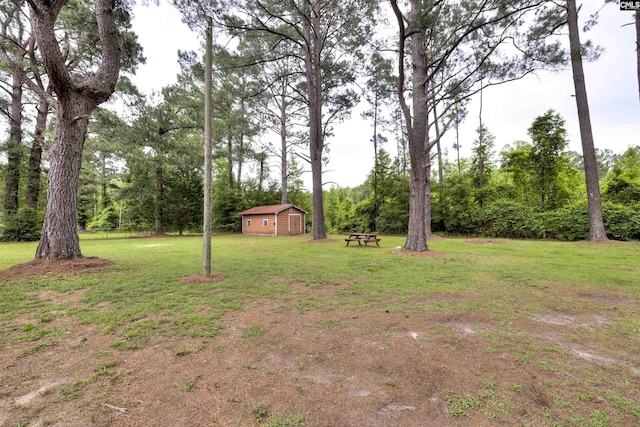 137 Wingate St, Darlington, SC 29532 - view of green lawn with an outbuilding