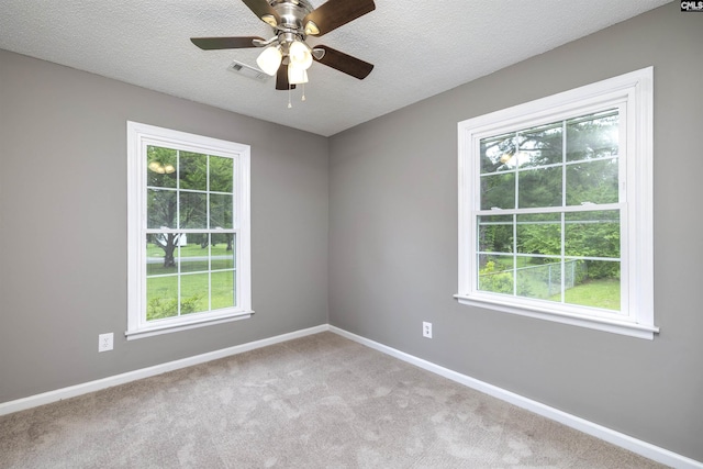 137 Wingate St, Darlington, SC 29532 - carpeted spare room featuring plenty of natural light, baseboards, a ceiling fan, and a textured ceiling