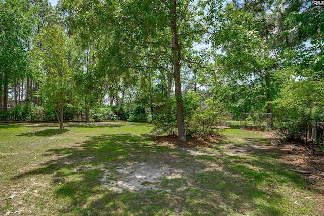 800 Wotan Rd, Columbia, SC 29229 - view of yard