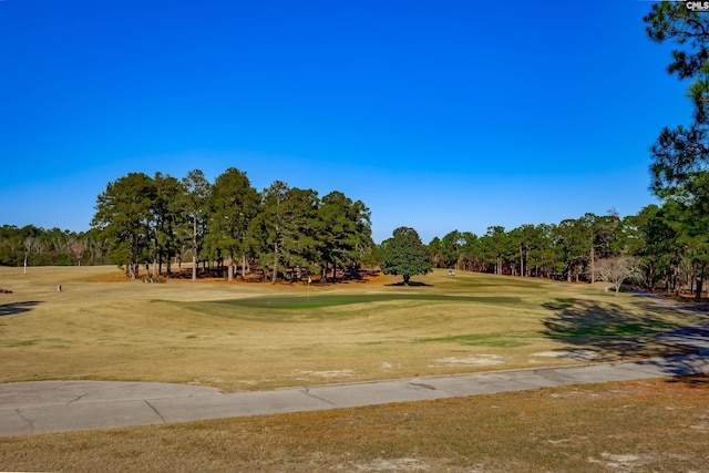 800 Wotan Rd, Columbia, SC 29229 - surrounding community with golf course view, view of scattered trees, and a yard