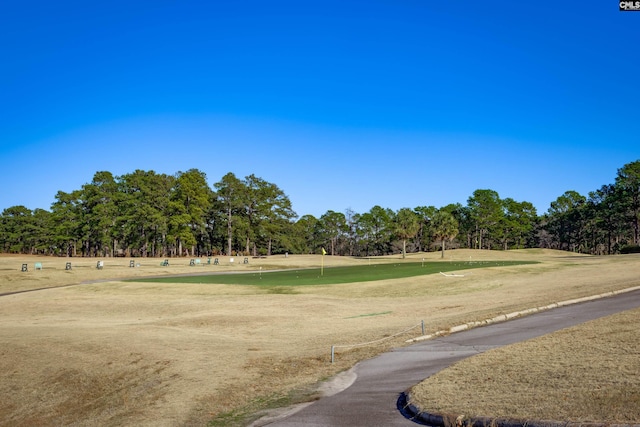 800 Wotan Rd, Columbia, SC 29229 - surrounding community with view of wooded area, a putting green, and golf course view