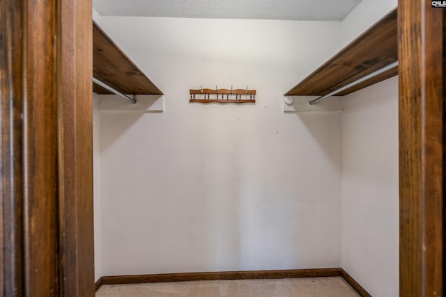 800 Wotan Rd, Columbia, SC 29229 - view of spacious closet