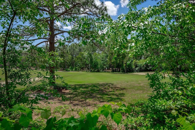 800 Wotan Rd, Columbia, SC 29229 - view of grassy yard with view of golf course