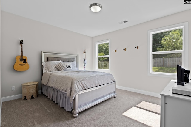 309 Springbrook Way, Chapin, SC 29036 - carpeted bedroom featuring baseboards