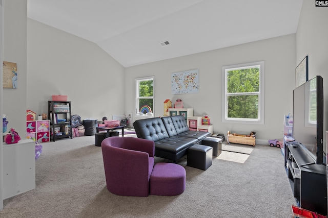 309 Springbrook Way, Chapin, SC 29036 - carpeted living area with lofted ceiling