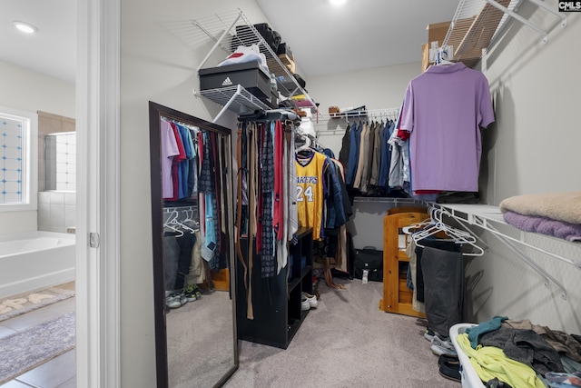 309 Springbrook Way, Chapin, SC 29036 - walk in closet with carpet