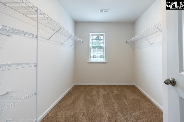 158 Dunham Rd, Columbia, SC 29209 - spacious closet with carpet flooring