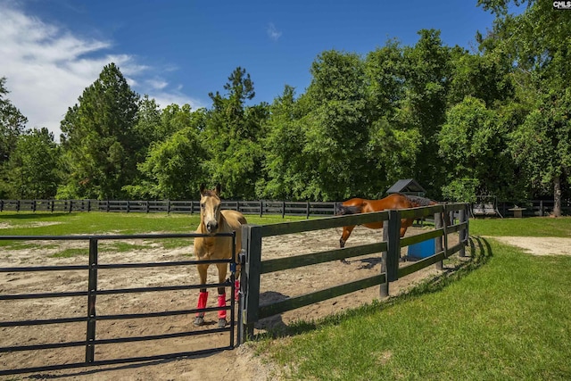 1122 Rawl Rd, Lexington, SC 29072 - gate with a rural view