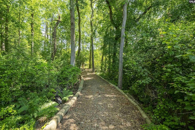 1122 Rawl Rd, Lexington, SC 29072 - view of street featuring a wooded view