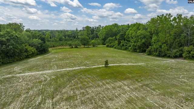 1122 Rawl Rd, Lexington, SC 29072 - bird's eye view of a heavily wooded area