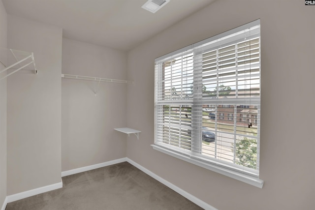 506 Moulton Way W, Columbia, SC 29170 - walk in closet with carpet
