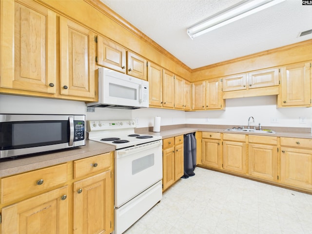 40 Driftwood Ave, Elgin, SC 29045 - kitchen with white appliances, a sink, a textured ceiling, light brown cabinets, and light flooring